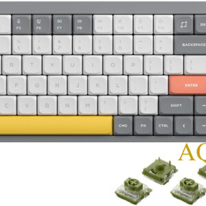 AQOKKA Air96 V2 Wireless Mechanical Keyboard,100 Keys Gaming Keyboard,Supports Bluetooth 5.1,2.4G and Wired Connection,for PC/Laptop/Windows/Mac -Grey Gateron Moss Switch